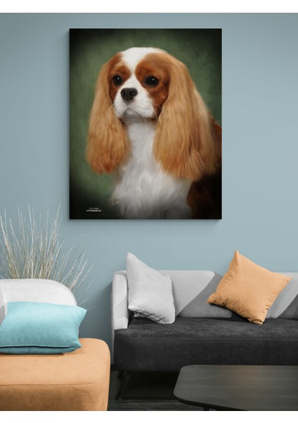 Köpek Resimi- Kanvas Tablo fırsatları