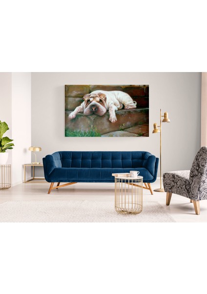 Köpek Resimi- Kanvas Tablo fiyatları