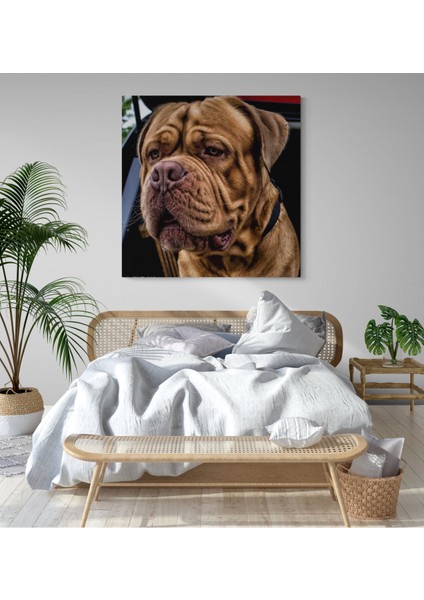 Köpek Resimi- Kanvas Tablo