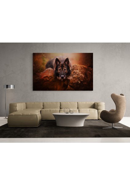 Köpek Resimi- Kanvas Tablo