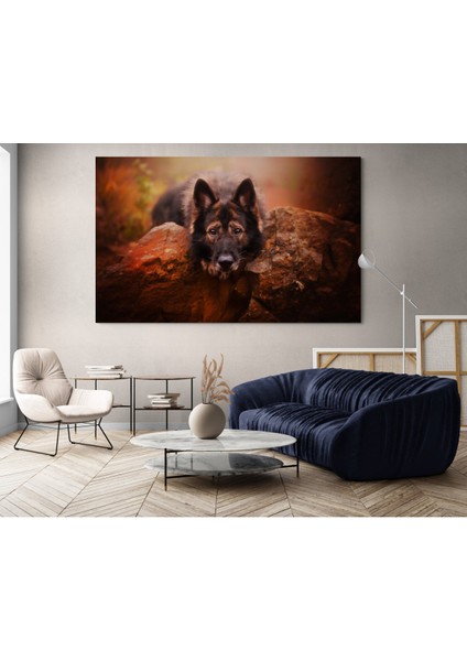 Köpek Resimi- Kanvas Tablo fiyatları