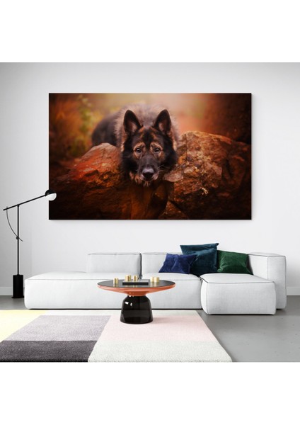 Köpek Resimi- Kanvas Tablo modelleri