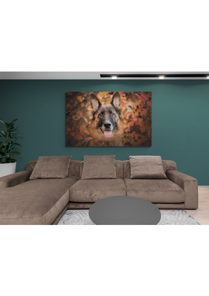 Köpek Resimi- Kanvas Tablo