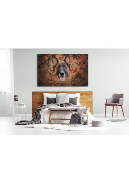 Köpek Resimi- Kanvas Tablo