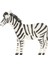 Zebra Peçete 20'li 1