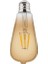 Rustic Vintage-6 6W E27 2200K LED Ampul 001 029 0006 1