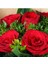 - Şenlik - 6 Kırmızı Gül Buketi - Aranjman Kesme Canlı Çiçek 2