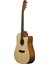 Zoppran Akustik Gitar 2
