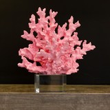2Adam1Dekor Kristal Kaideli Mercan Pembe