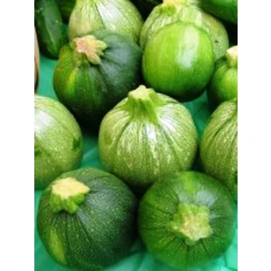 Agrodal Tarım Doğal Topak Kara Kabak Tohumu Karatopak 20 Adet Tohum