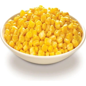 Agrodal Tarım Ithal Tatlı Mısır Tohumu Sweetcorn 50 Adet Tohum