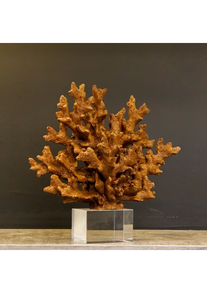 Kristal Kaideli Mercan Kahverengi