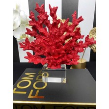 Mirsa Global Krıstal Kaideli Mercan