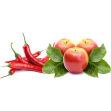 Daye Hatun Alyanak Elma Sirkesi-Az Acılı / Apple Cider & Cayenne Vinegar