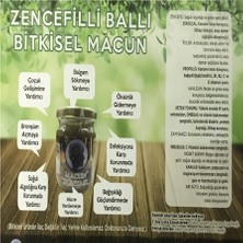 Macun Dünyası Zencefilli Ballı Bitki Karışımlı Macun 450 gr