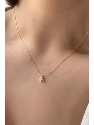 Asurlu 925 Ayar Üç Boyutlu Rose A Harfli Kolye Uzunluk 42 cm