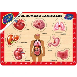Onyıl Oyuncak 5760122 Ahşap Tutmalı Puzzle-Vücudumuzu Tanıyalım