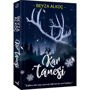İndigo Kitap Beyza Alkoç Kar Tanesi