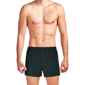 The Don Koyu Yeşil Renk Yırtmaçlı Erkek Boxer