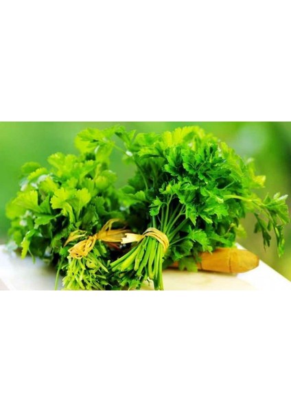 - 25 Adet Maydanoz ( Parsley ) Tohumu