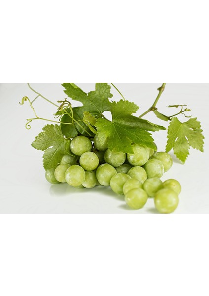 Asma Koruğu Sirkesi / Sour Grape Vinegar