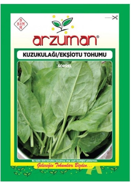 Tohum Kuzukulağı Ekşiotu