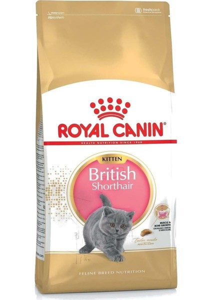 British Shorthair Kitten Yavru Kedi Maması 2 kg