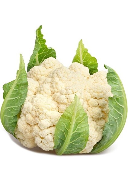 Karnabahar Organik 1 kg