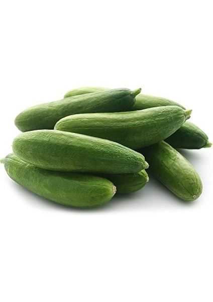 Çengelköy Organik Salatalık 1 kg