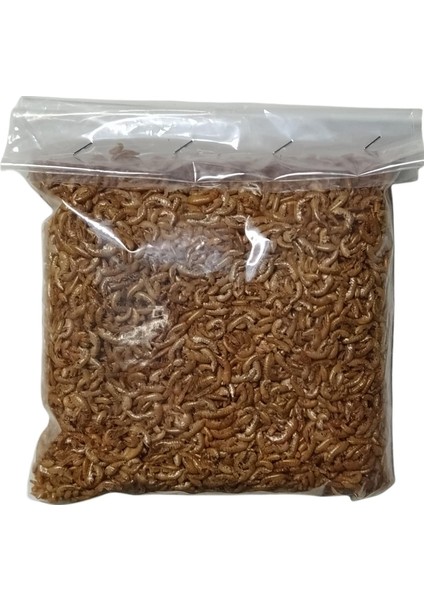 Hanımeli Pet Store Gammarus (Kurutulmuş Karides) Balık ve Kaplumbağa Yemi 100GR