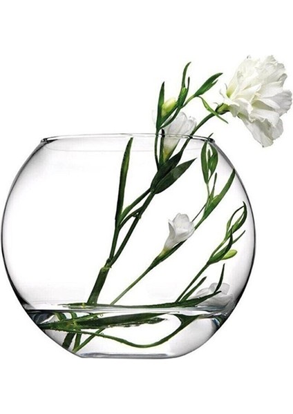 Botanica Fanus, Sunum Kasesi 43417 modelleri
