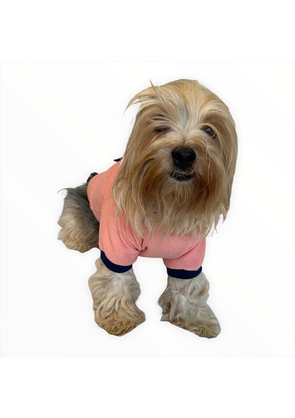 Light Pink Flower Pocket Kapşonlu Sweat By Kemique Köpek Kazağı Xxl modelleri