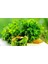 - 25 Adet Maydanoz ( Parsley ) Tohumu 1
