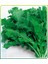 - 20 Adet Tere ( Cress ) Tohumu 1
