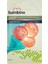 2 Renkli Sulu Diş Kaşıyıcı P0656 1
