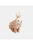 Dog Molar Toy- Rabbit Köpek Oyuncağı 1