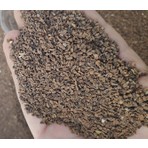 Avrasya Arıcılık Faselya (Arı Otu Tohumu) 1 kg