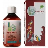 Kanatlı Oil Kadochol Karaciğer Koruyucu 250 ml