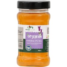 Ekoloji Market Organik Karabaşotu (Lavandule) Balı 400 gr