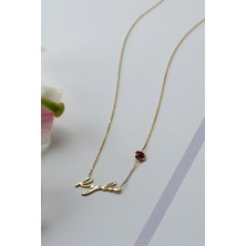 Lieza Jewelry Gümüş Taşlı Isim Kolye
