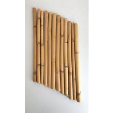 Emily Samy Bambu 12Lİ 75 cm