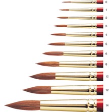 Winsor & Newton : Sceptre Gold : 404 Serisi Uzun Sap Yuvarlak Fırça No : 8