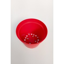 Toptan Kaktüs 12 cm Kaktüs Sukulent Saksısı 5 Adet Kırmızı Tekpar Plastik Üretim Saksısı Bol Drenaj Deliği