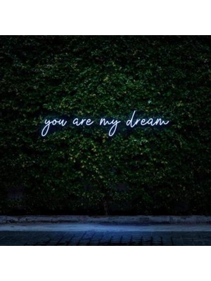 Honey Concept You Are My Dream Neon Duvar Yazısı Dekoratif Duvar Aydinlatmasi Gece Lambası