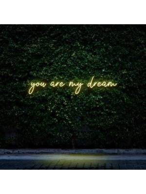 Honey Concept You Are My Dream Neon Duvar Yazısı Dekoratif Duvar Aydinlatmasi Gece Lambası