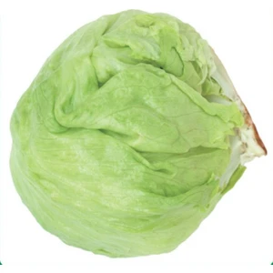 Marul Tohumu Iceberg 3 Gram