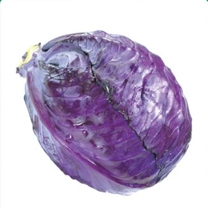 Kırmızı Lahana Tohumu Yerli 5 Gram
