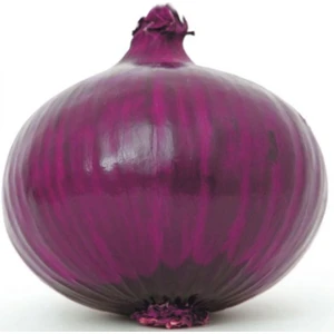 Mor Soğan Tohumu Yerli 5 Gram