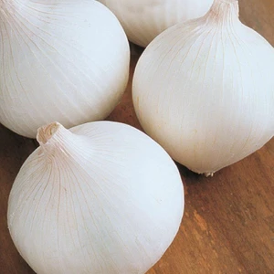 Beyaz Soğan Tohumu Yerli 5 Gram