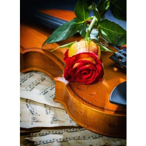 Nova Puzzle Müzik, Aşk ve Hüzün 1000 Parça Puzzle